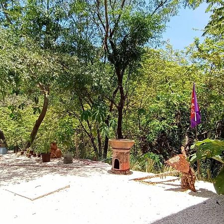 Laurel Jungle & Ocean Villa Playa Santa Teresa  Екстериор снимка