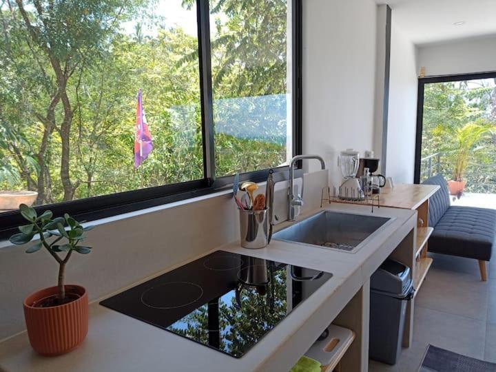 Laurel Jungle & Ocean Villa Playa Santa Teresa  Екстериор снимка
