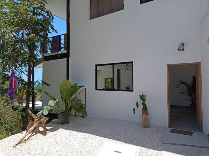Laurel Jungle & Ocean Villa Playa Santa Teresa  Екстериор снимка
