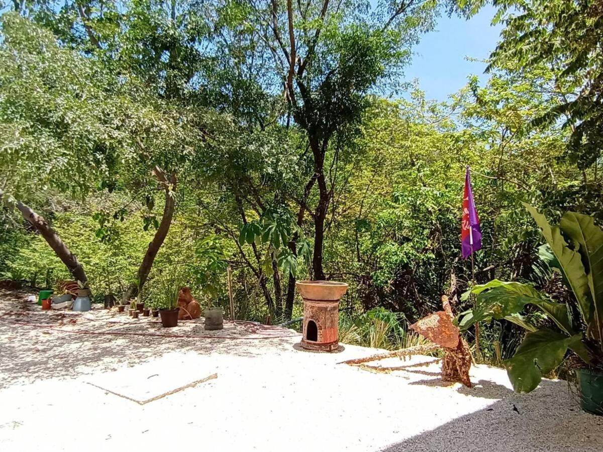 Laurel Jungle & Ocean Villa Playa Santa Teresa  Екстериор снимка
